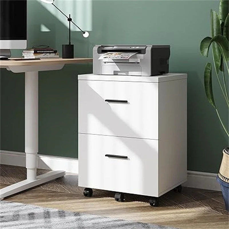 Aktenschrank mit 2 Schubladen - 15.7T x 18.1B x 25.6H
